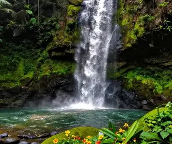 As melhores Cachoeiras em Sergipe para visitar