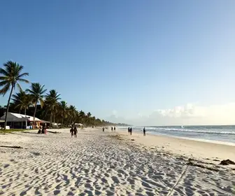 Descubra a Praia da Caueira: Um Paraíso em Sergipe Descubra a Praia da Caueira: Um Paraíso em Sergipe