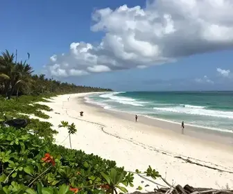 Descubra a Praia do Refúgio: Um Paraíso em Sergipe