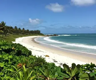 Descubra as Belezas da Praia do Robalo em Sergipe Descubra as Belezas da Praia do Robalo em Sergipe