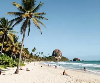 Descubra as Melhores Praias de Sergipe para Visitar Descubra as Melhores Praias de Sergipe para Visitar