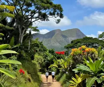 Descubra as Melhores Trilhas em Sergipe para Aventuras Inesquecíveis