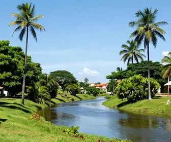 Descubra Brejo Grande: O Charme de Sergipe em um Só Lugar Descubra Brejo Grande: O Charme de Sergipe em um Só Lugar