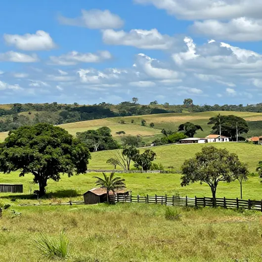 Descubra Divina Pastora: Um Destino Imperdível em Sergipe