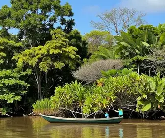 Descubra o Encanto do Rio Vaza-Barris em Sergipe