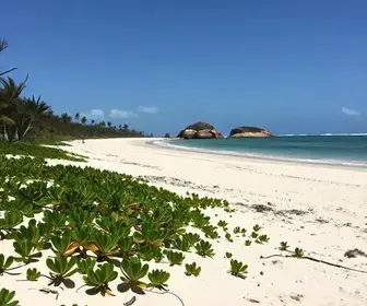 Descubra o Litoral Norte de Sergipe: Um Roteiro Imperdível