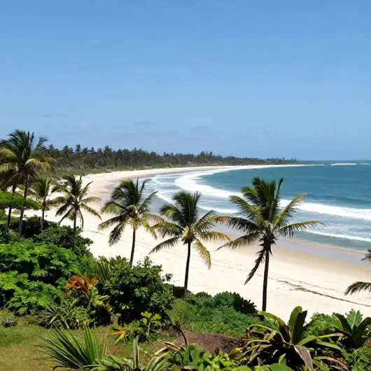 Descubra o Litoral sul de aracaju