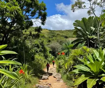 Descubra o Melhor Roteiro de Ecoturismo em Sergipe