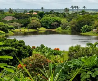 Descubra o Que Fazer em Brejo Grande, Sergipe Descubra o Que Fazer em Brejo Grande, Sergipe