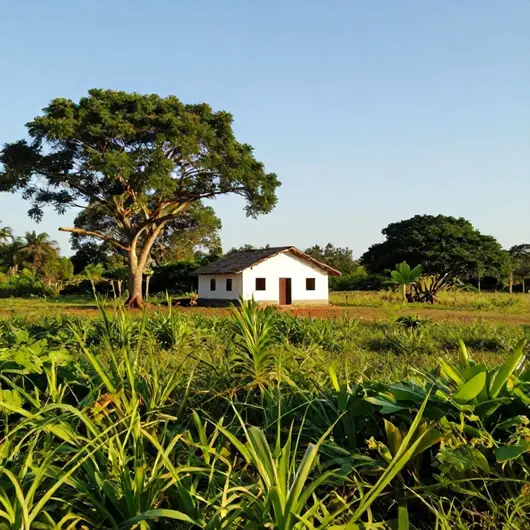 Descubra Terra Tupi