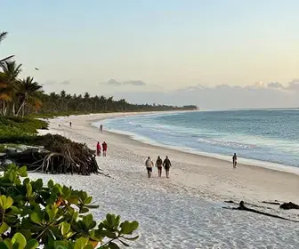 Explorando as Belezas da Praia do Saco e Mangue Seco em Sergipe