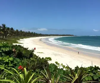 Explorando o Litoral Norte de Sergipe: Praias e Beleza Natural Explorando o Litoral Norte de Sergipe: Praias e Beleza Natural