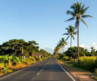 Explorando Sergipe: Um Roteiro de Carro Imperdível