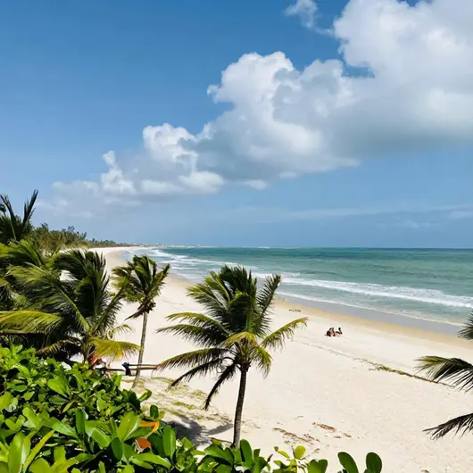Explore o Melhor de Aracaju Turismo