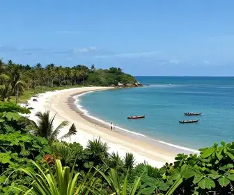 Explore Sergipe em 7 Dias: O Guia Completo de Viagem