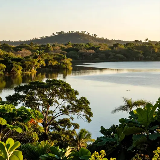 Lagoa dos Tambaquis: Um Refúgio Natural em Sergipe Lagoa dos Tambaquis: Um Refúgio Natural em Sergipe
