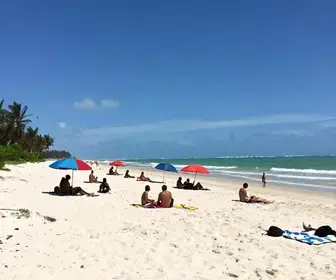 Melhores Roteiros de Praia em Sergipe: 6 escolhas bem avaliadas