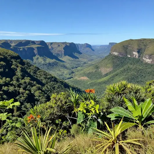 Trilha Serra de Itabaiana Raiz